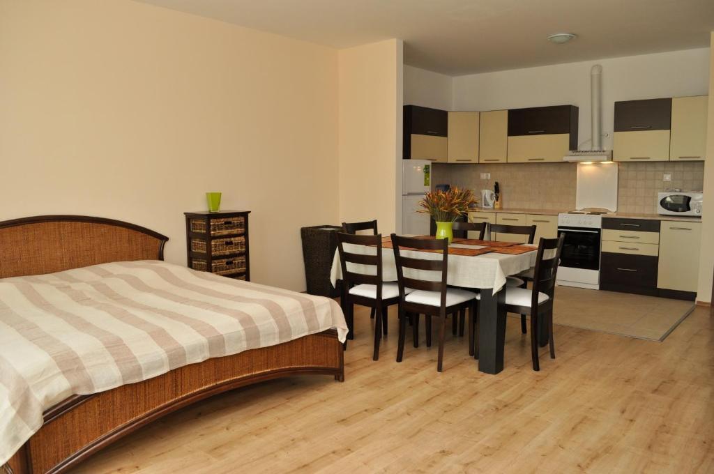 Tisza Palota Apartmanok Szeged Chambre photo