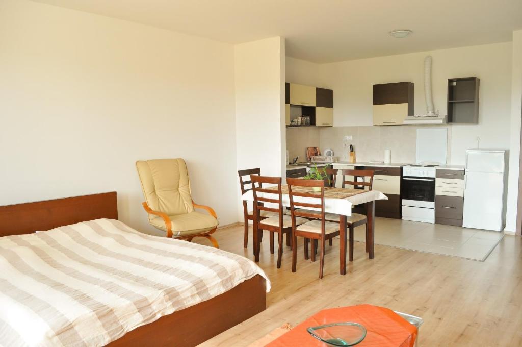 Tisza Palota Apartmanok Szeged Chambre photo